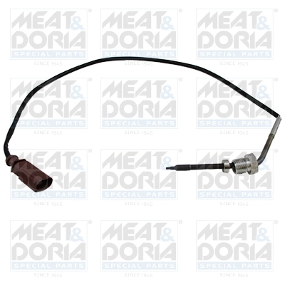 Sensor, exhaust gas temperature